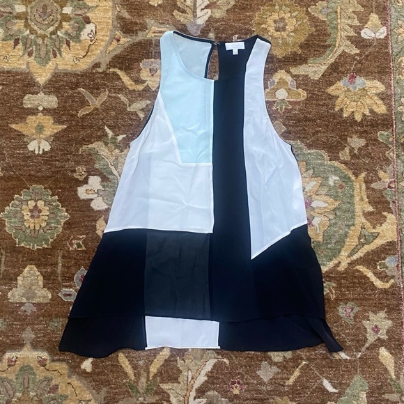 Aritzia Silk Color Block Tank - Picture 1 of 3